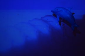 ERROR TEKK – video wall